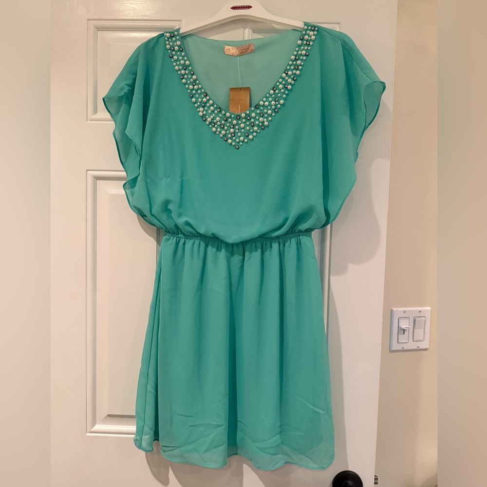 NWT Rare Mint Privett Dress with Embellished Neckline